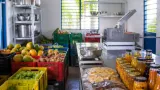 En Grand’Anse, Rébetha Charles transforme les récoltes haïtiennes en produits locaux