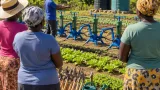 Dans le nord-est d’Haïti, des agricultrices renforcent leur autonomie grâce au projet Dlo